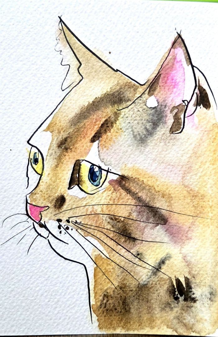 No3004ドローイング水彩画今日の猫 — image 2