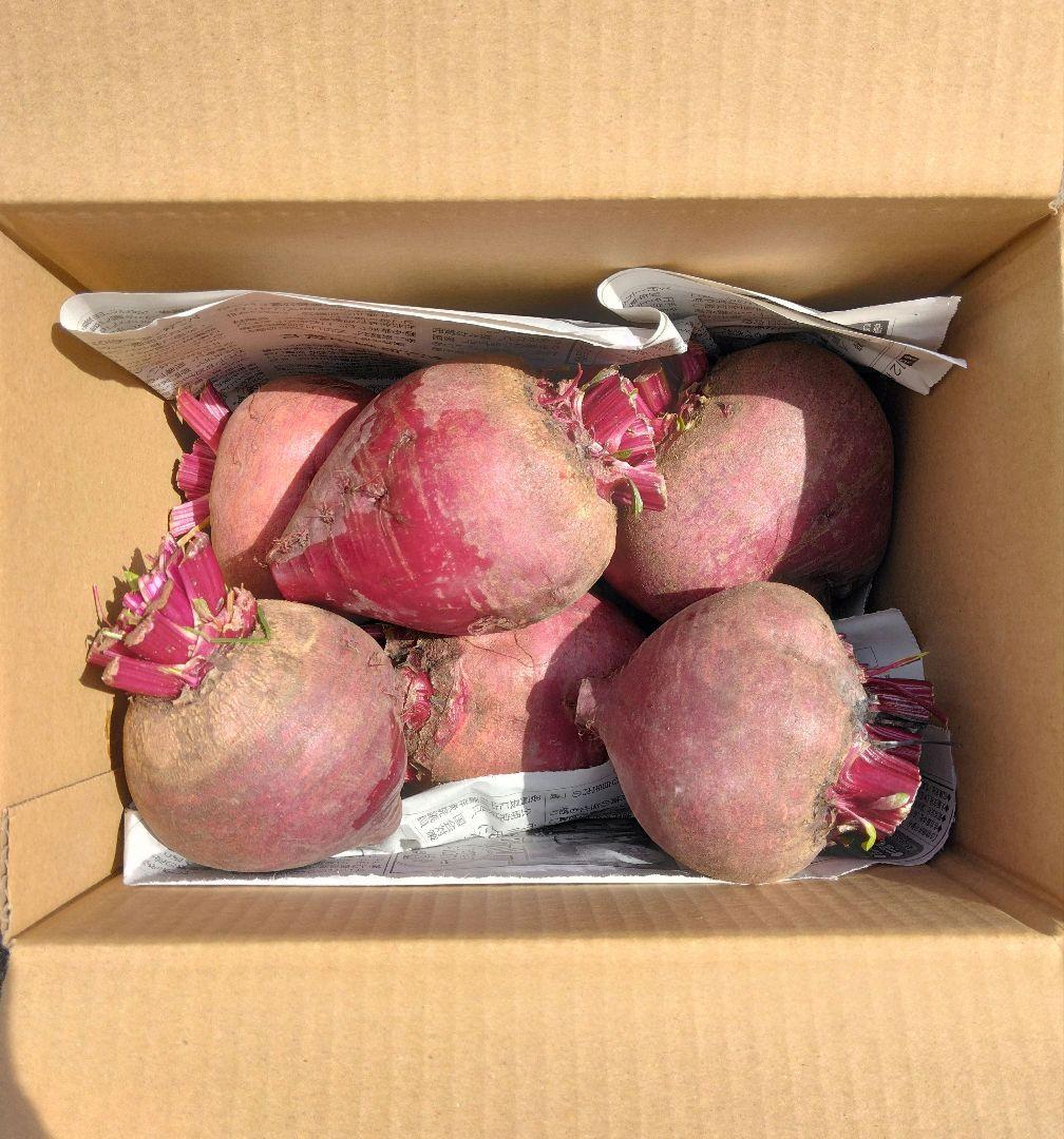 ビーツ(デトロイトダークレッド)　2kg(箱込み) — image 2