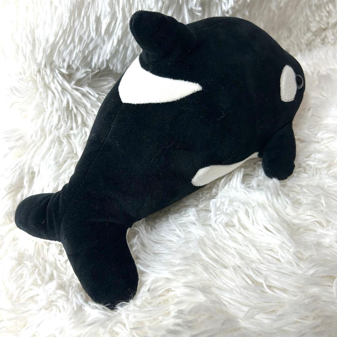 鴨川シーワールド シャチ ぬいぐるみ — image 2