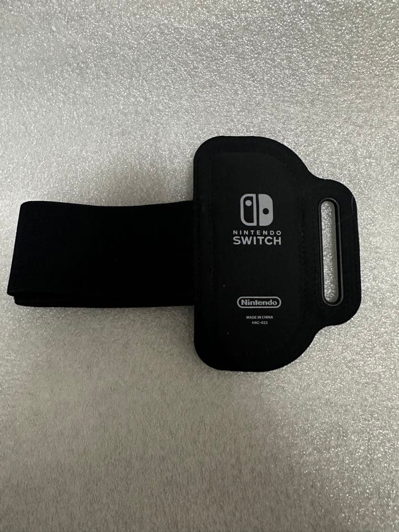 Nintendo Switch ファミリートレーナー — image 2