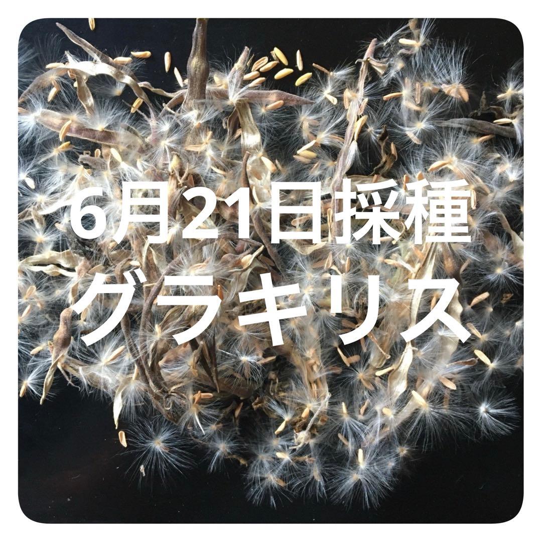 N.様 リクエスト 2点 まとめ商品 — image 2