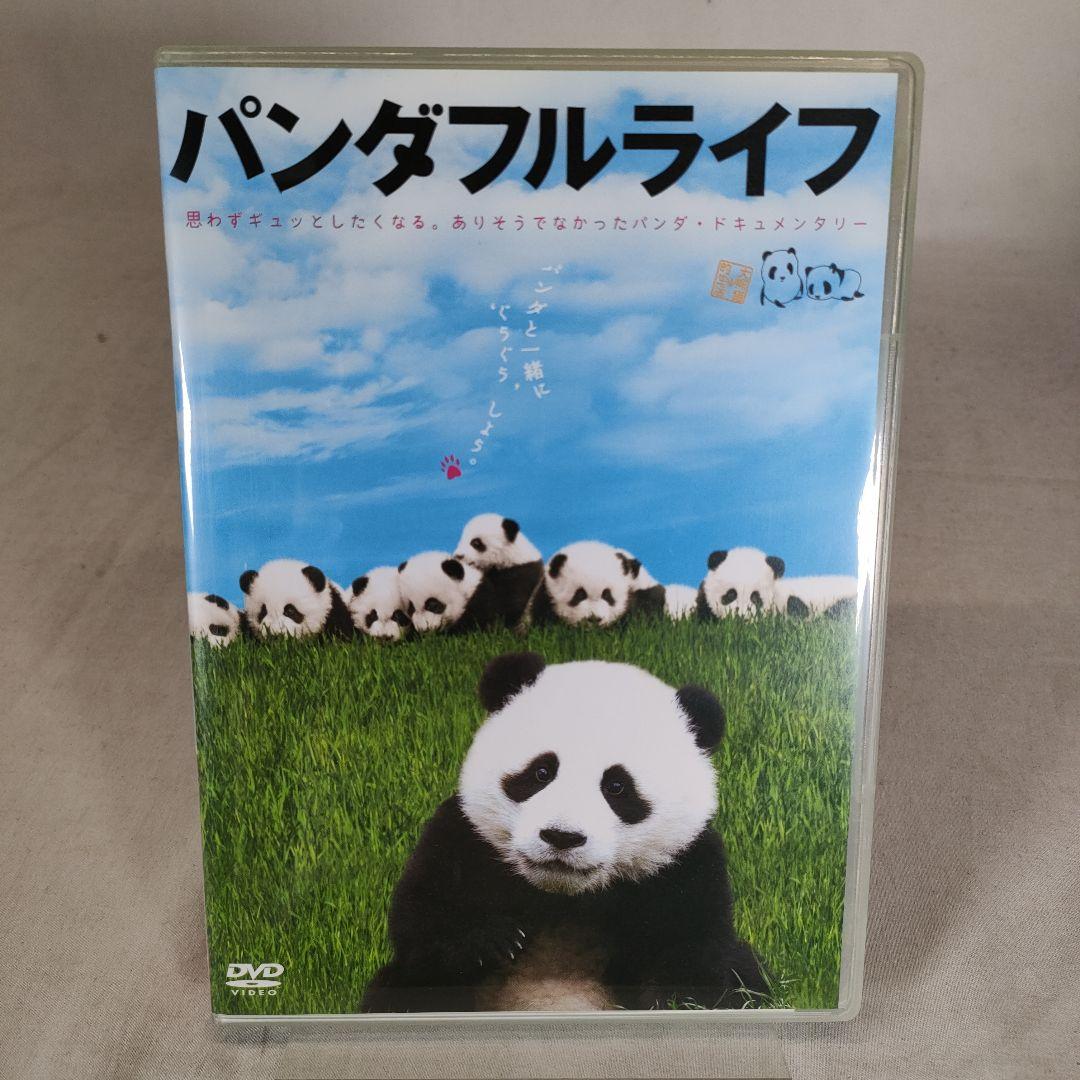 【パンダ型キー・カバー付き,スリーブケース付き】パンダフルライフ — image 5