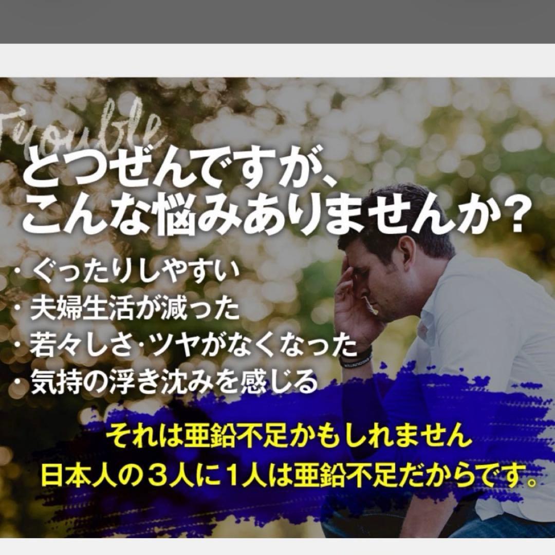 シードコムス　亜鉛　約１年分 (約３ヶ月分を４袋) — image 3