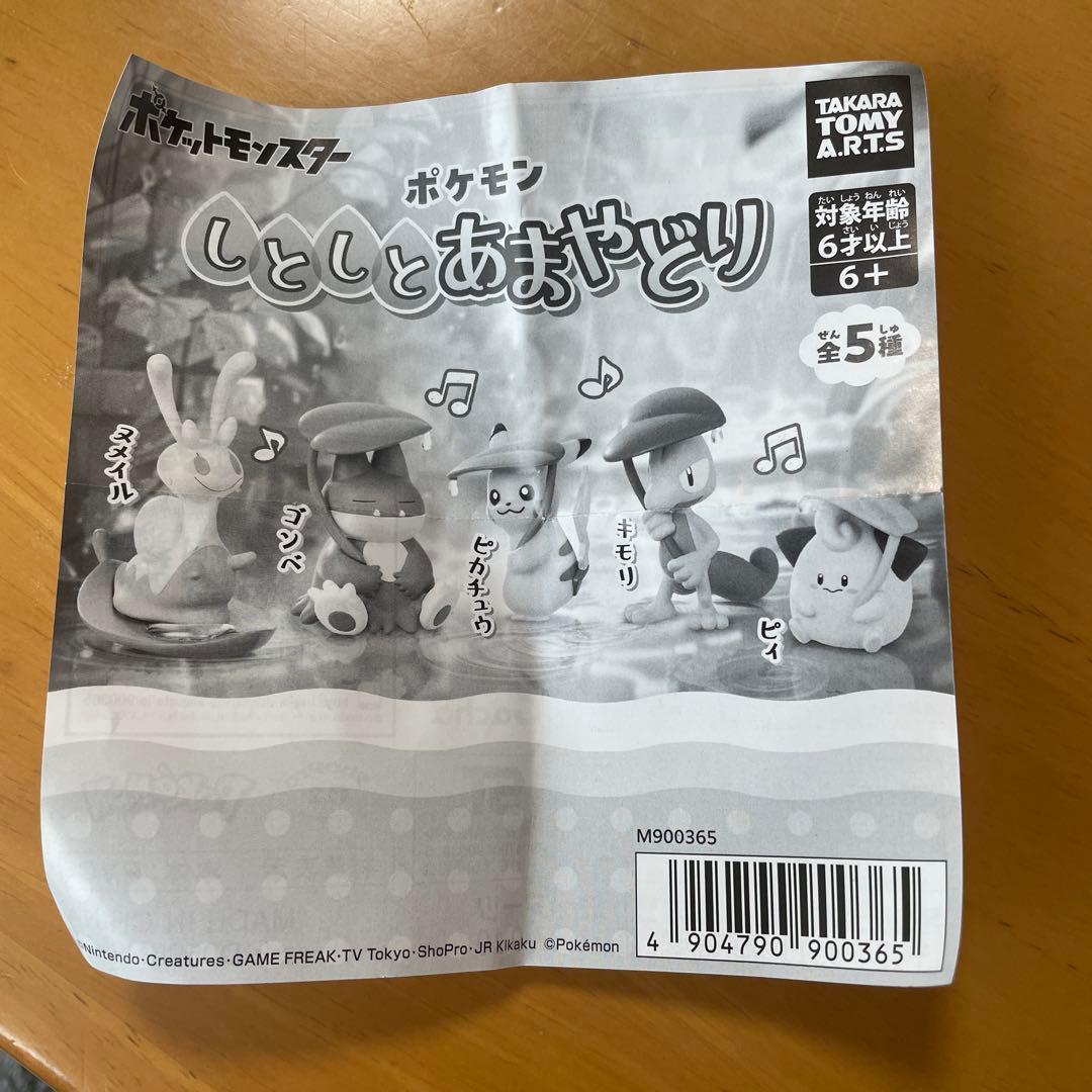 ポケモン ゴンベしとしとあまやどり — image 3