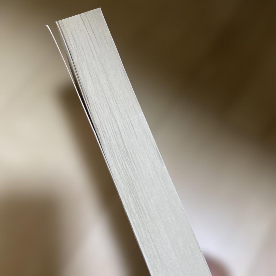More Than We Can Tell 洋書 帰国子女中高生英語 — image 2