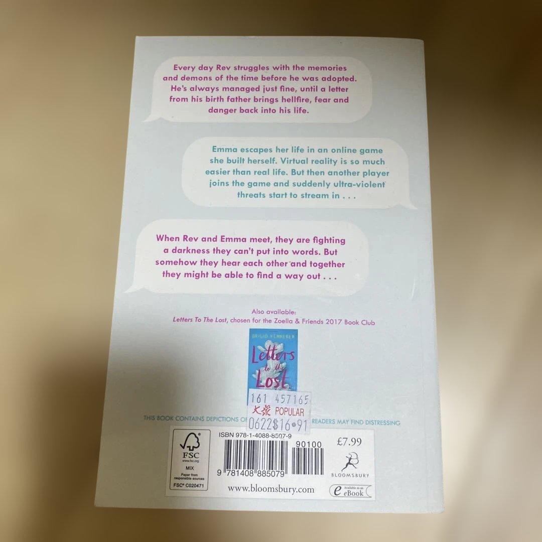 More Than We Can Tell 洋書 帰国子女中高生英語 — image 3