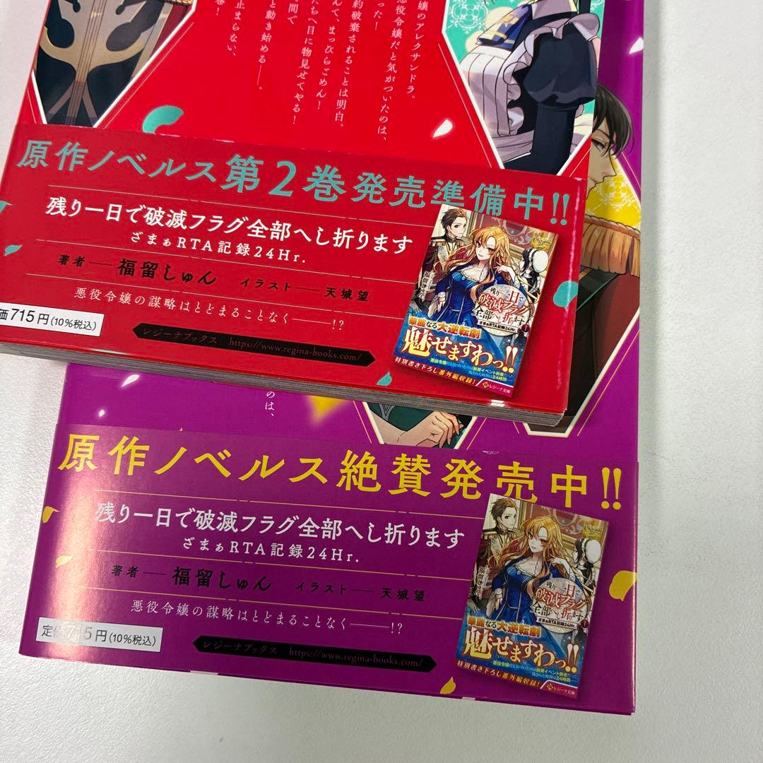 残り一日で破滅フラグ全部へし折ります 1・2 — image 3