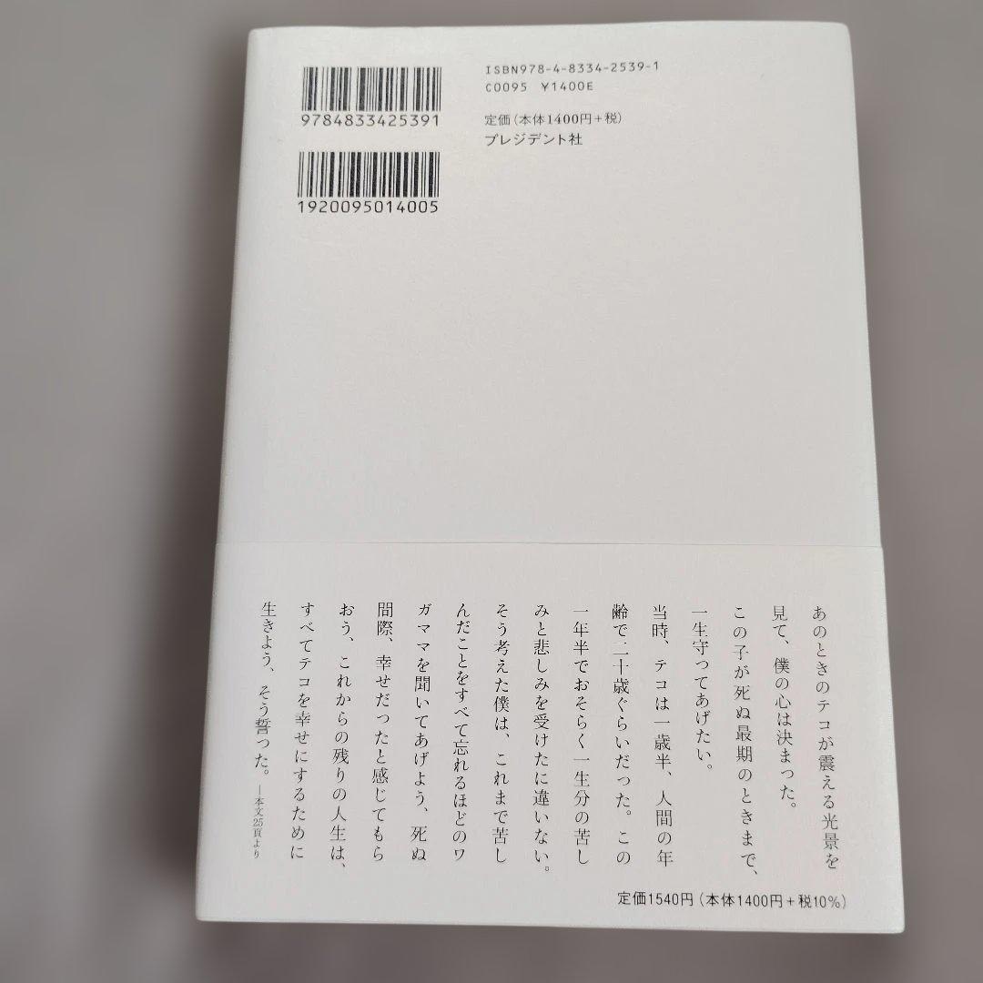 捨てられた僕と母猫と奇跡 : 心に傷を負った二人が新たに見つけた居場所 — image 2