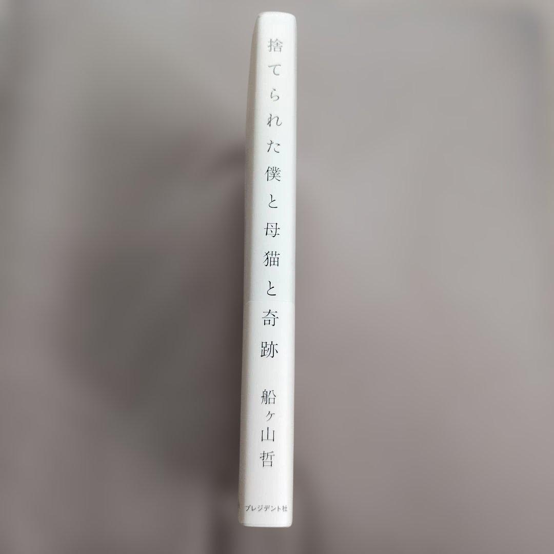 捨てられた僕と母猫と奇跡 : 心に傷を負った二人が新たに見つけた居場所 — image 3