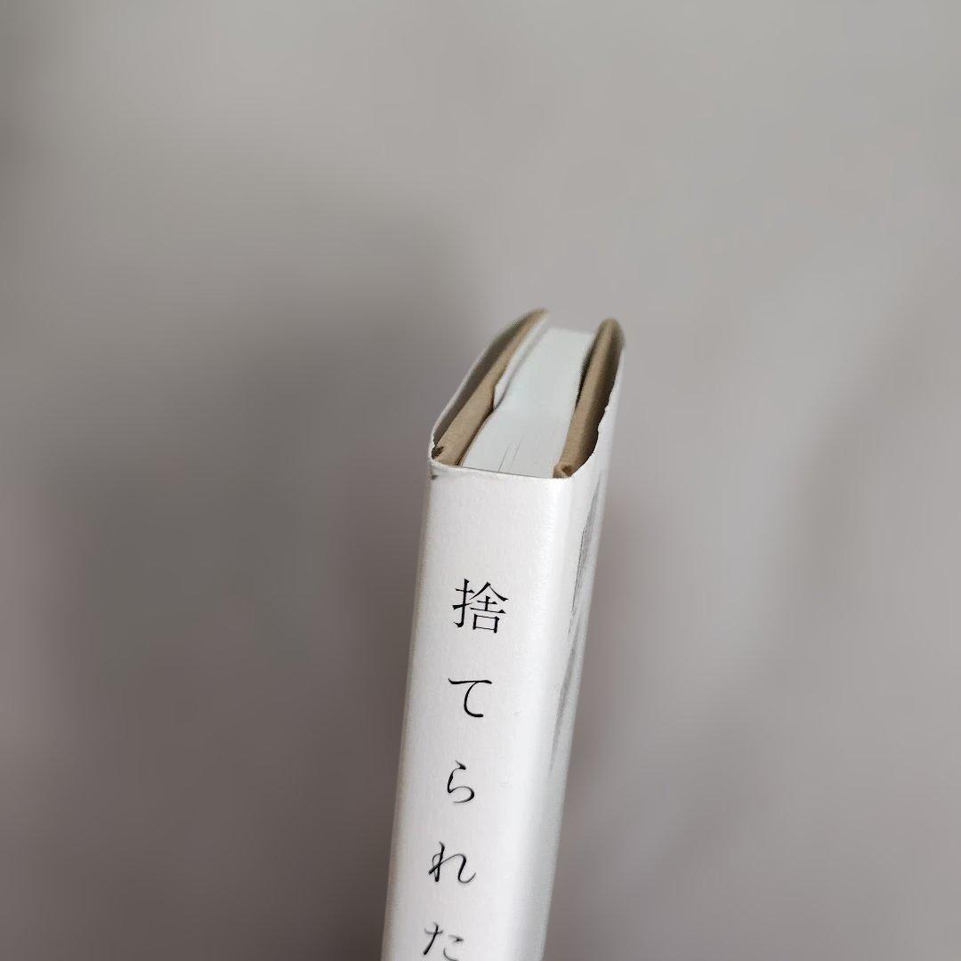 捨てられた僕と母猫と奇跡 : 心に傷を負った二人が新たに見つけた居場所 — image 4