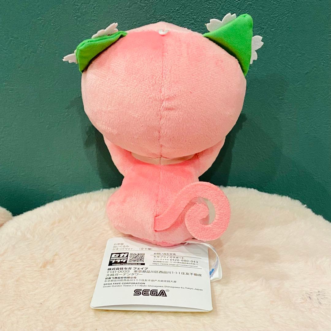 お茶猫 ぬいぐるみ かまってVer. ラン サクラ — image 4