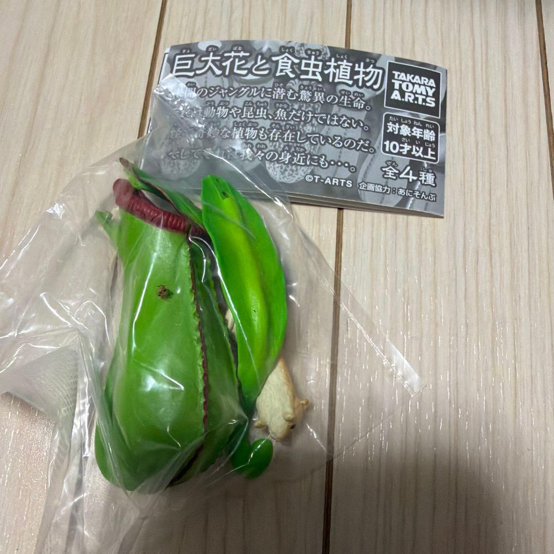 巨大花と食虫植物　ウツボカズラA ガチャガチャ — image 2