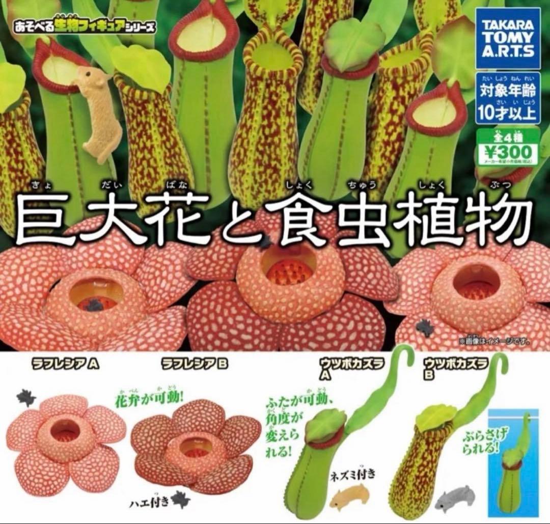 巨大花と食虫植物　ウツボカズラA ガチャガチャ — image 3