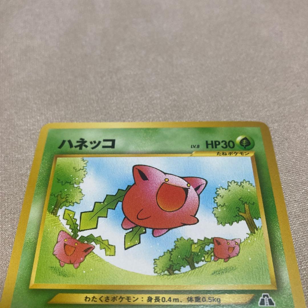 旧裏　ポケモンカード　ハネッコ ● 拡張パック第2弾 — image 3
