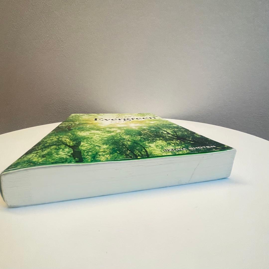総合英語 Evergreen エバーグリーン 英文法 参考書 — image 4