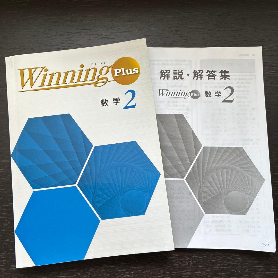 ホワイトベアー様 リクエスト 2点 まとめ商品 — image 2