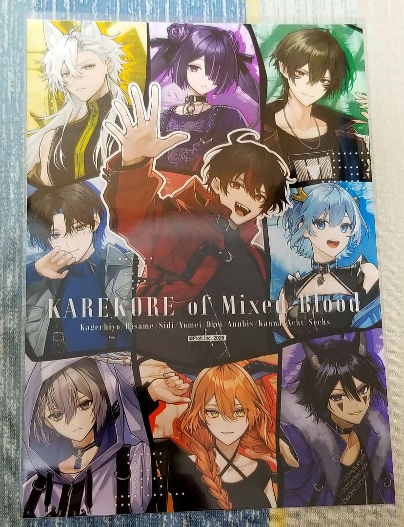 混血のカレコレ ブロマイド シークレット ヨーメイ ドライ 2L セット — image 2