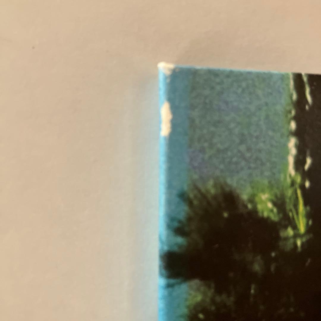 Suchmos THE BAY — image 3