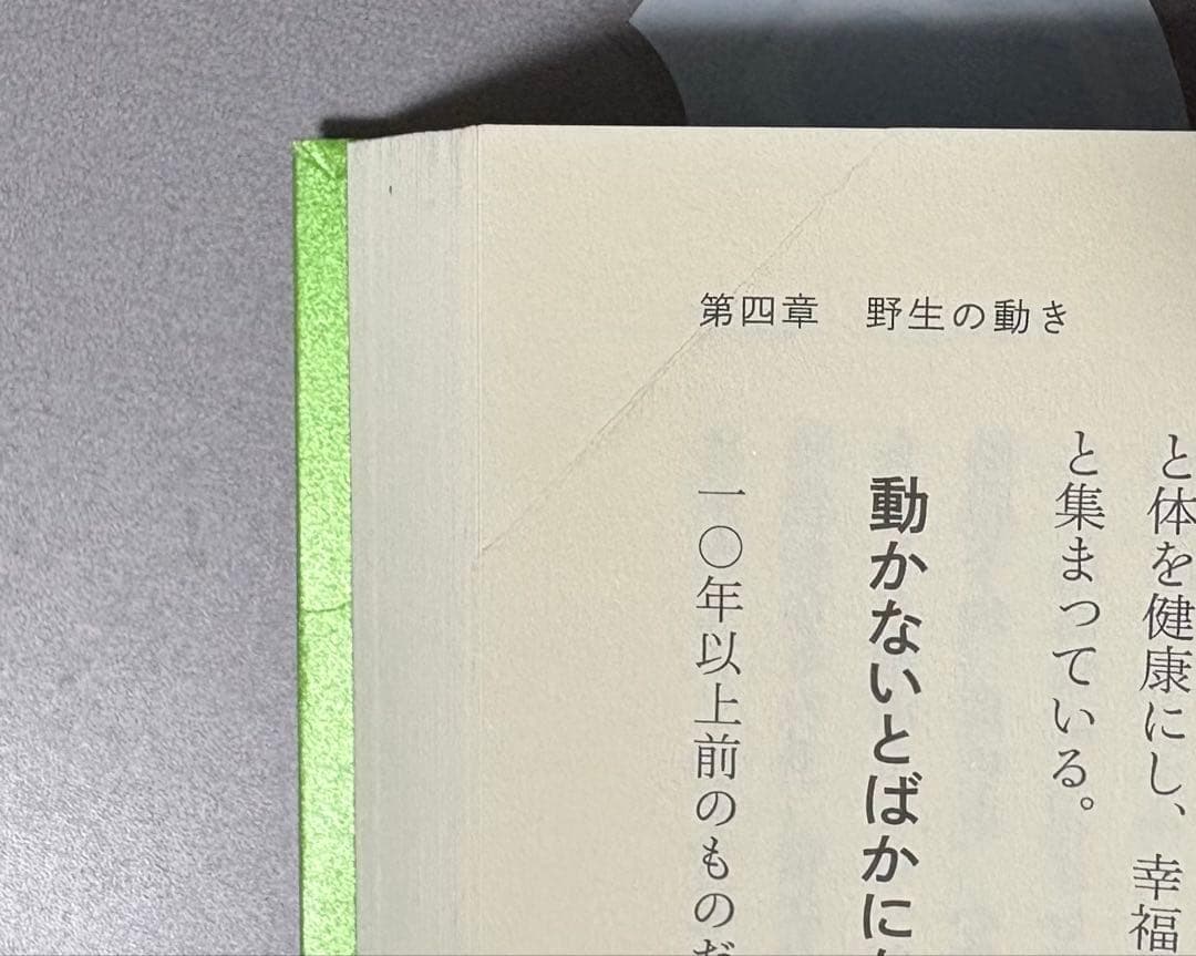 GO WILD 野生の体を取り戻せ! 科学が教えるトレイルラン、低炭水化物食、… — image 4
