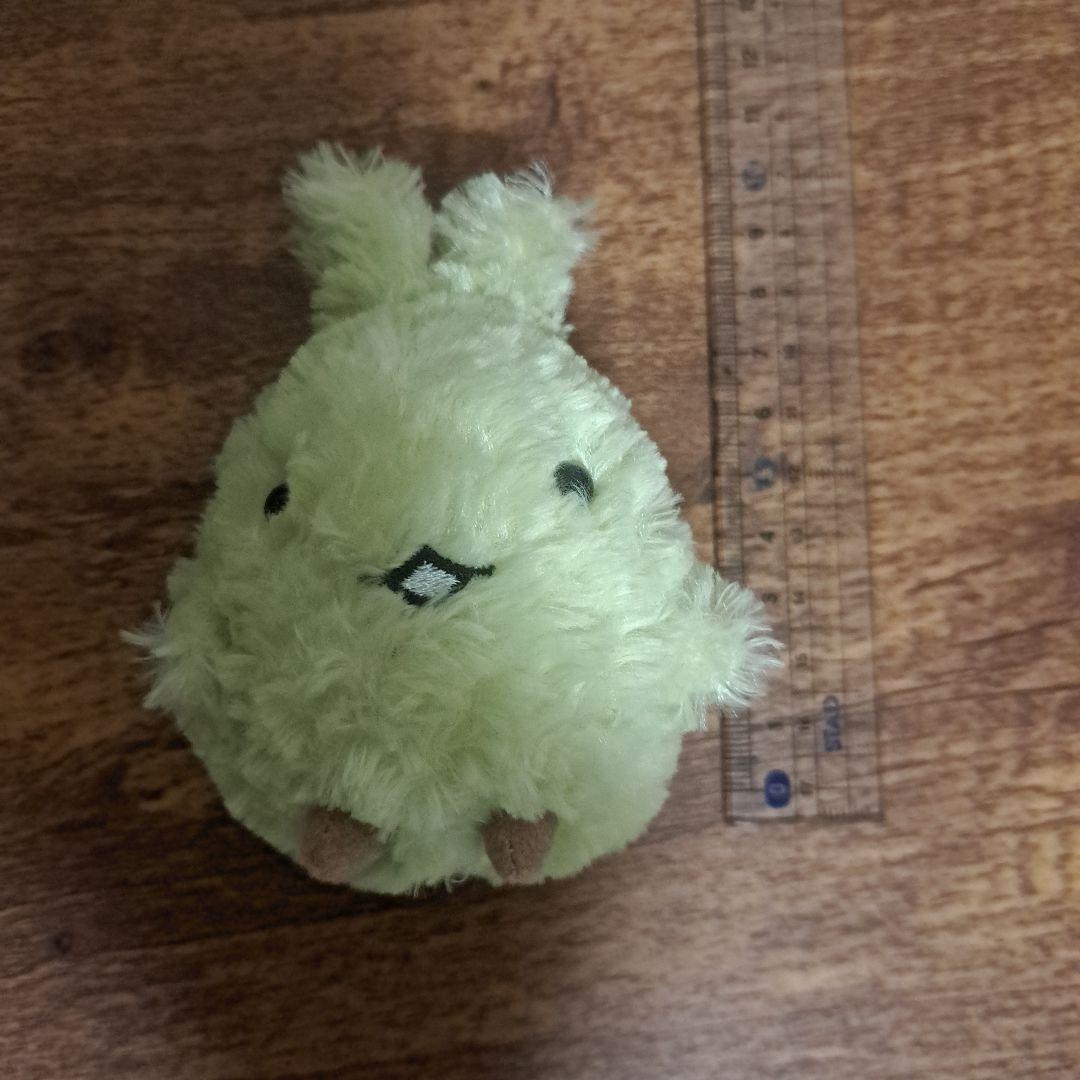キッコロ — image 4