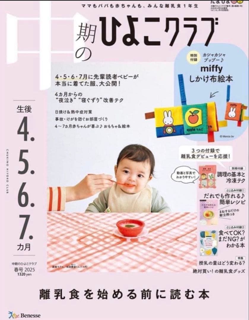 ❤️中期のひよこクラブ　2025年春.夏号付録　カシャカシャプップーしかけ布絵本 — image 3
