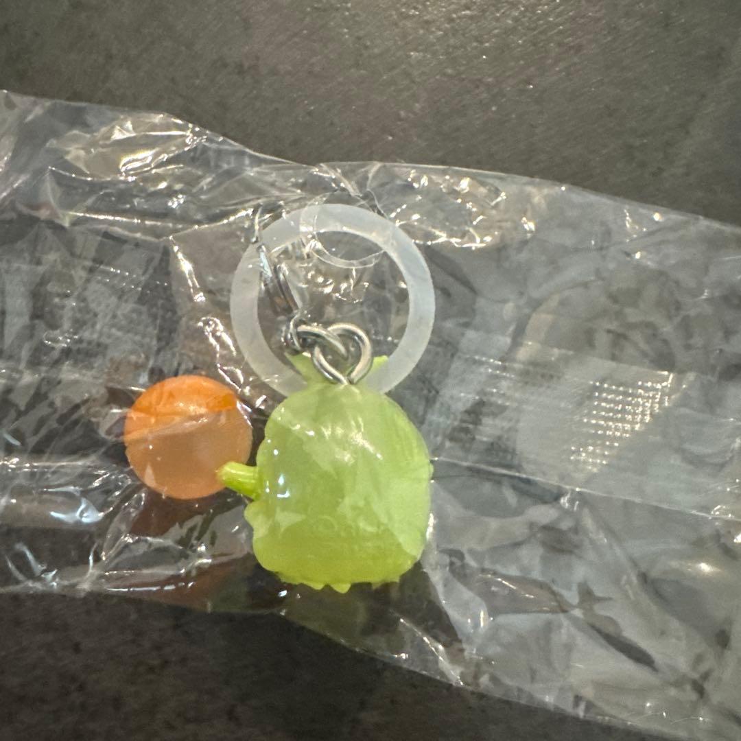 モリゾー、キッコロ　めじるしアクセサリー — image 5