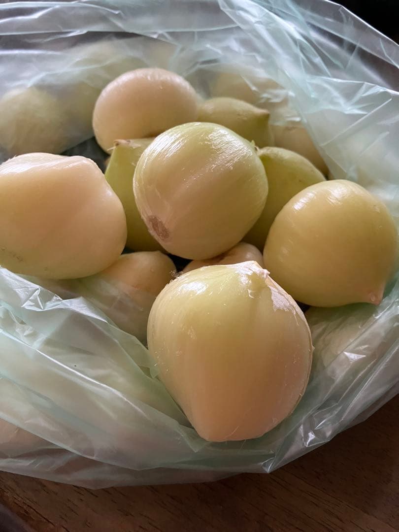 ジャンボニンニク　ニンニク　香味野菜　野菜　農薬不使用　農家直送 — image 2