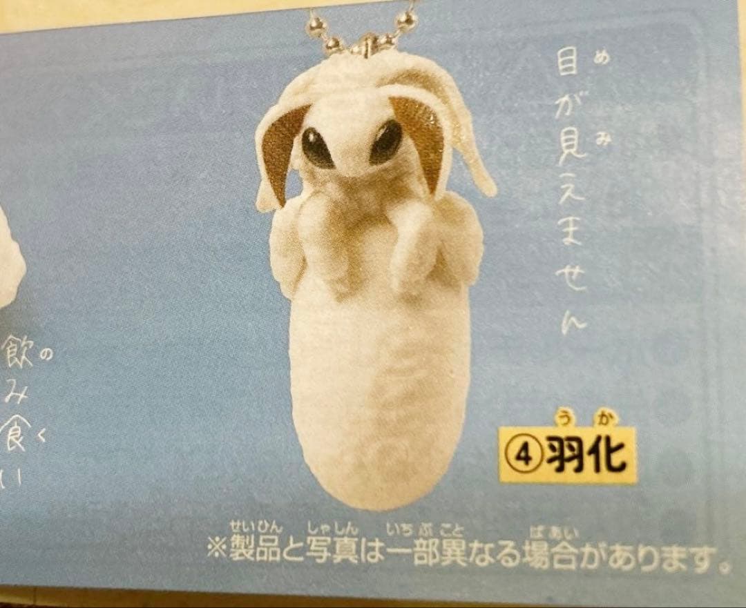 カイコ　ガチャ　可愛い　④孵化　1個　中古 — image 2