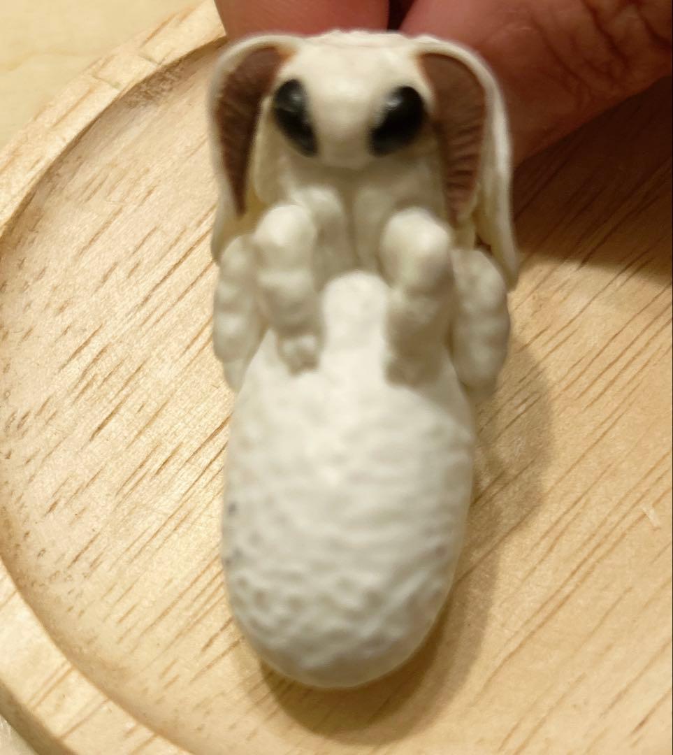 カイコ　ガチャ　可愛い　④孵化　1個　中古 — image 3