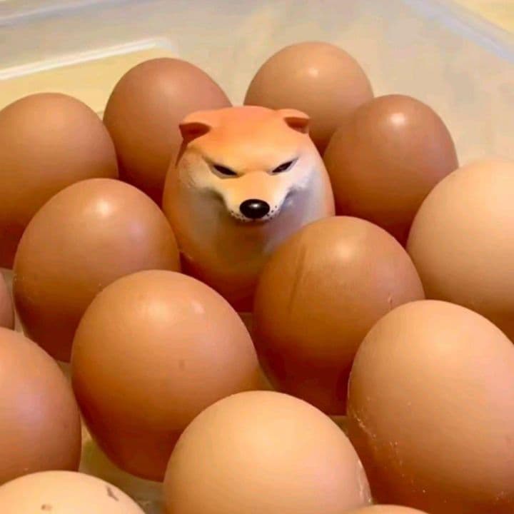 柴犬卵 ソフトタイプ しばこオブジェ たまご 卵型 スクイーズ しばいぬ — image 4