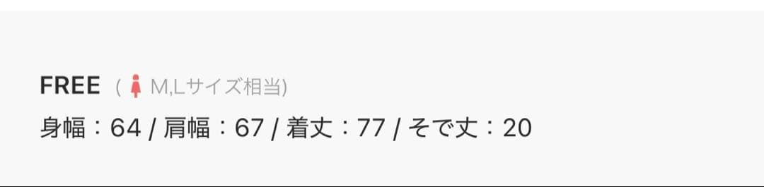 お値下げ！新品！LEPSIM 《スグッカワ》ラウンドBIGT — image 2