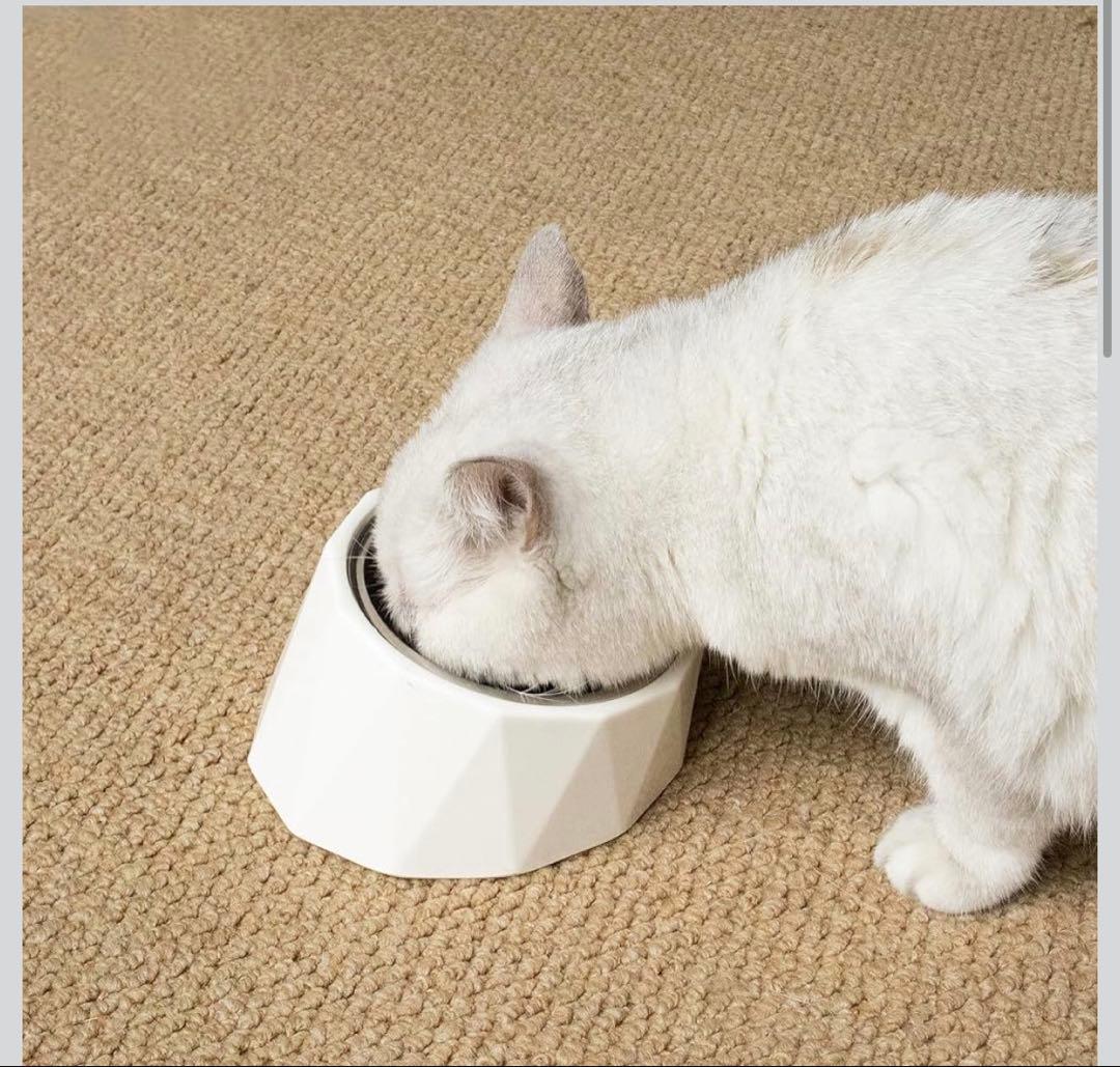 ペット食器 フードボウル 傾斜 15度 首への負担軽減 ステンレス XSサイズ — image 2