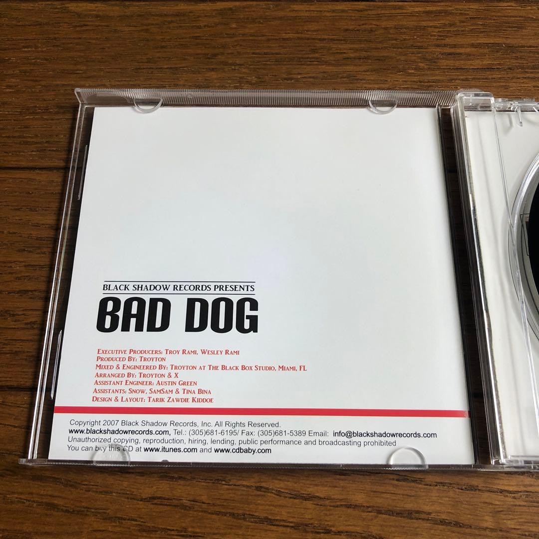 BAD DOG RIDDIM ALBUM / Various Artists — image 3