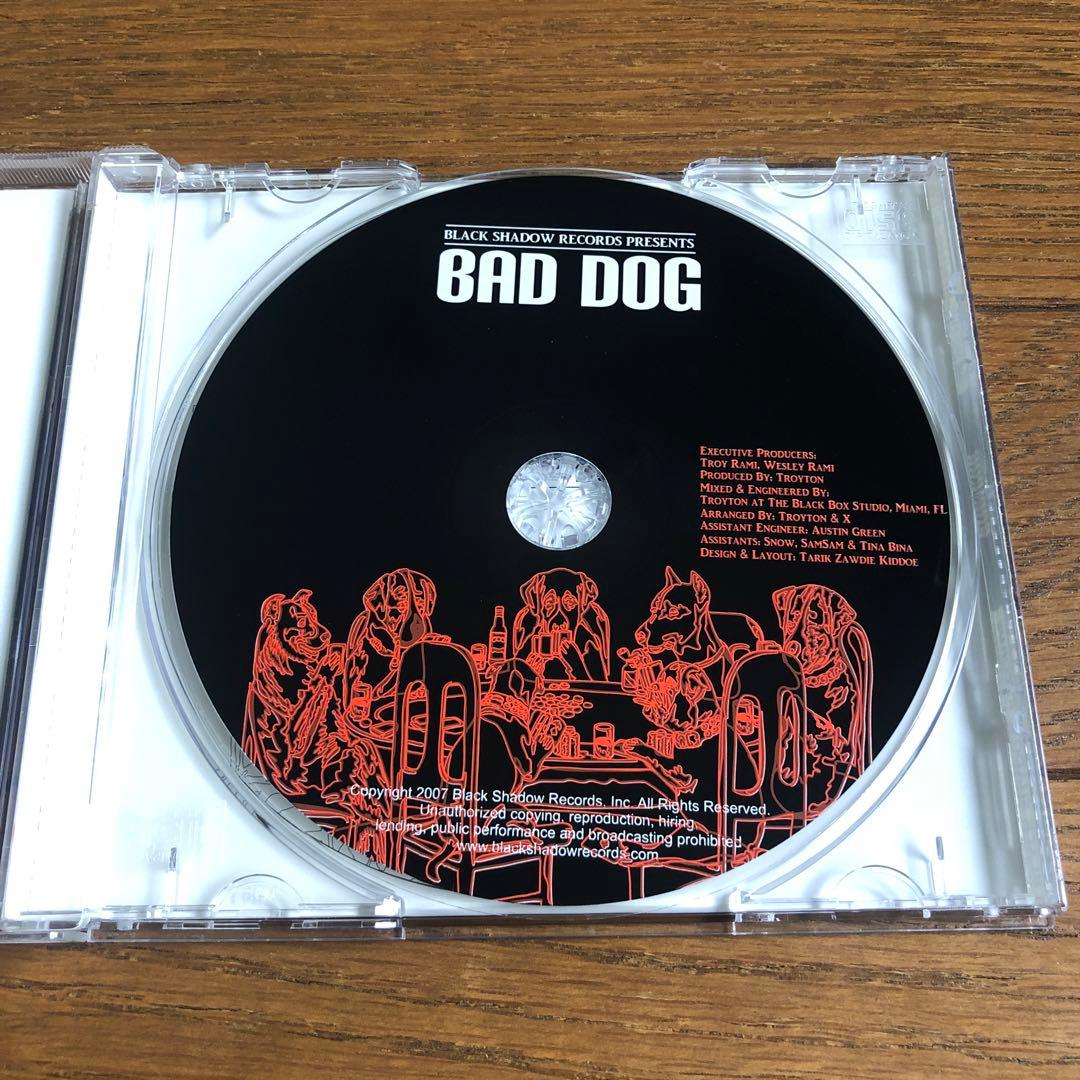BAD DOG RIDDIM ALBUM / Various Artists — image 4