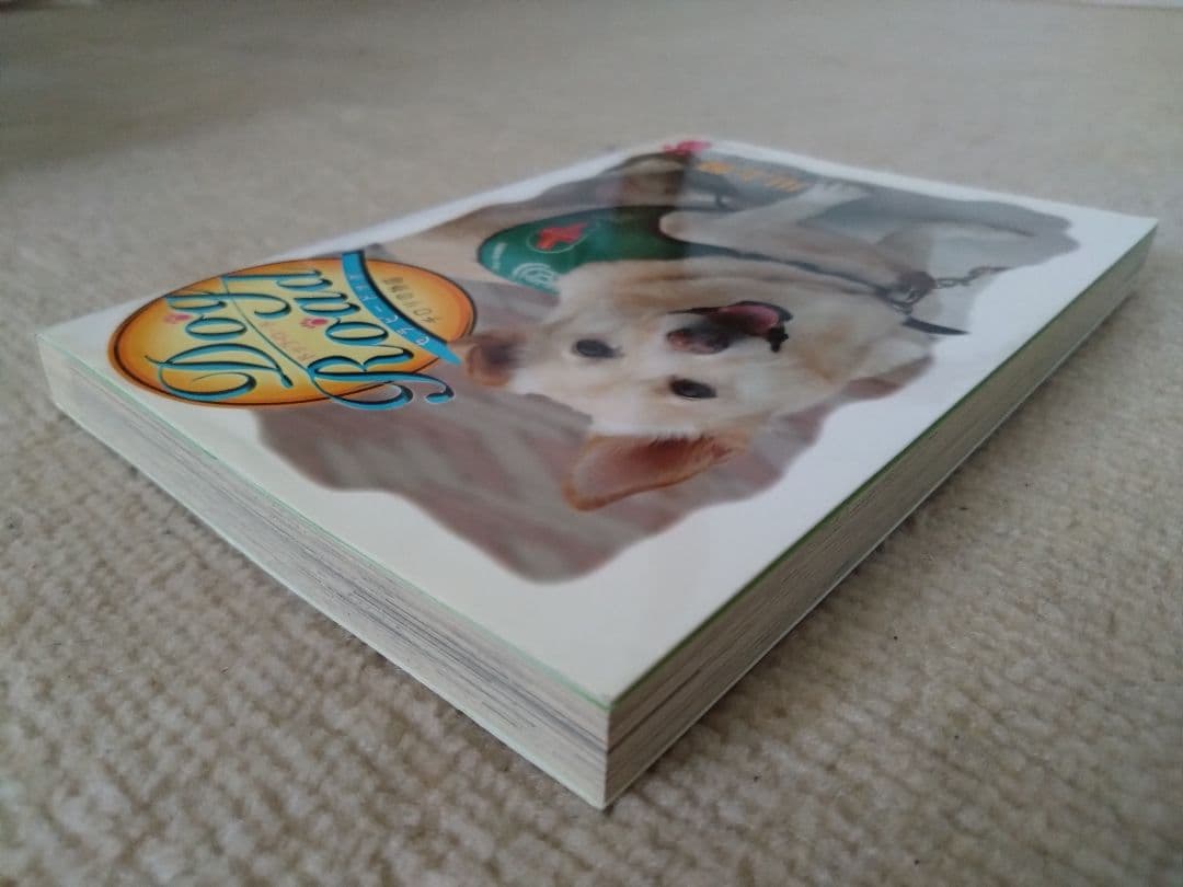 Dog Road セラピードッグチロリの奇跡 2巻 — image 3