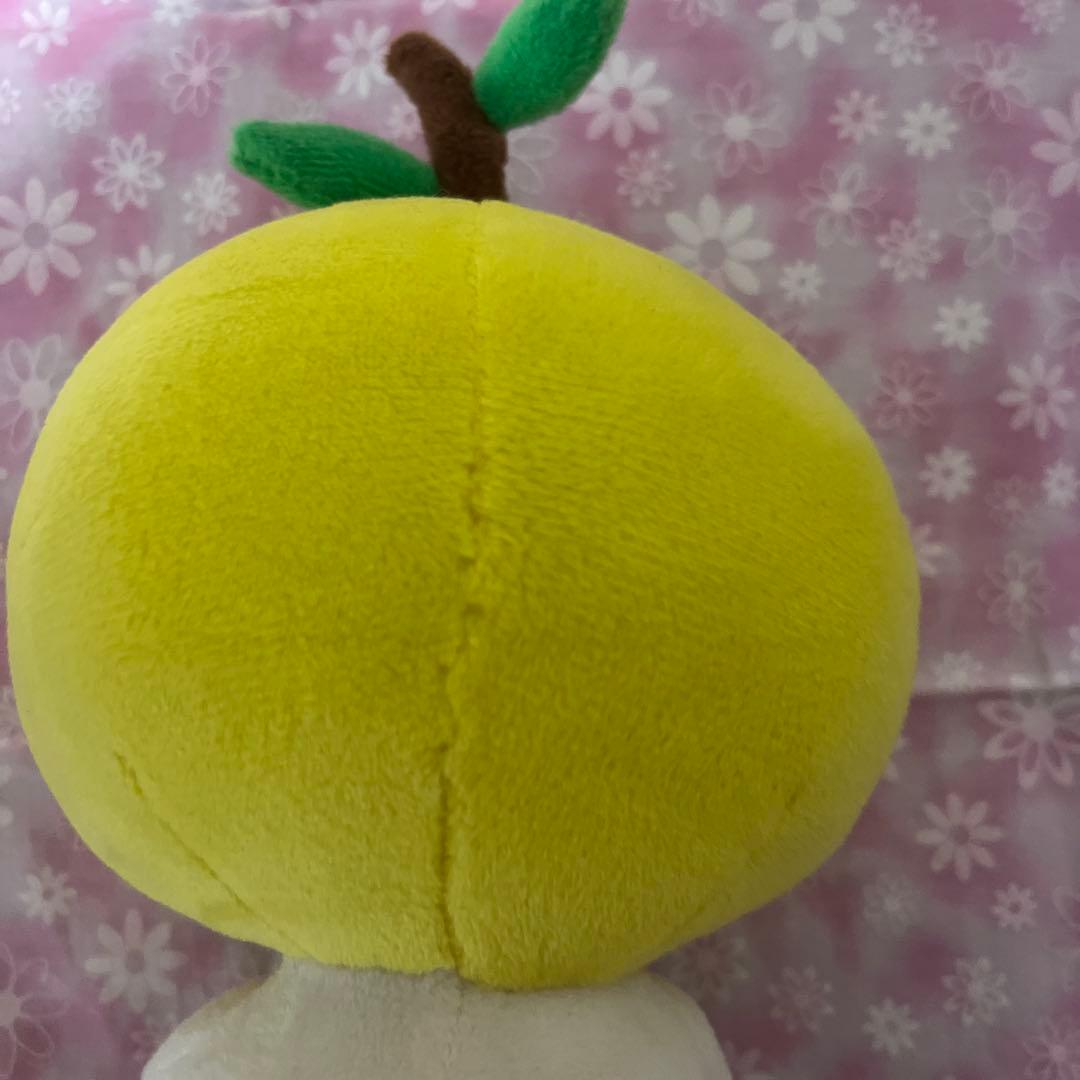 ゆず太郎セット — image 4