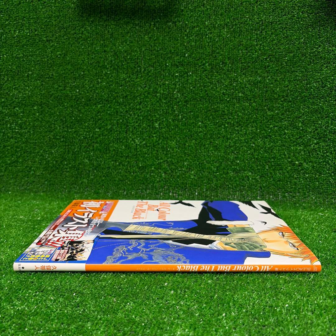 BLEACH イラスト集 All Colour But The Black — image 3