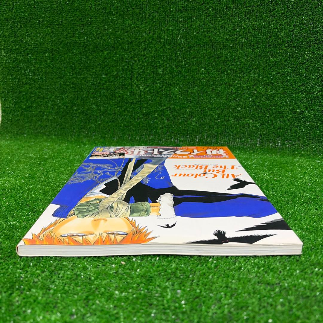 BLEACH イラスト集 All Colour But The Black — image 4