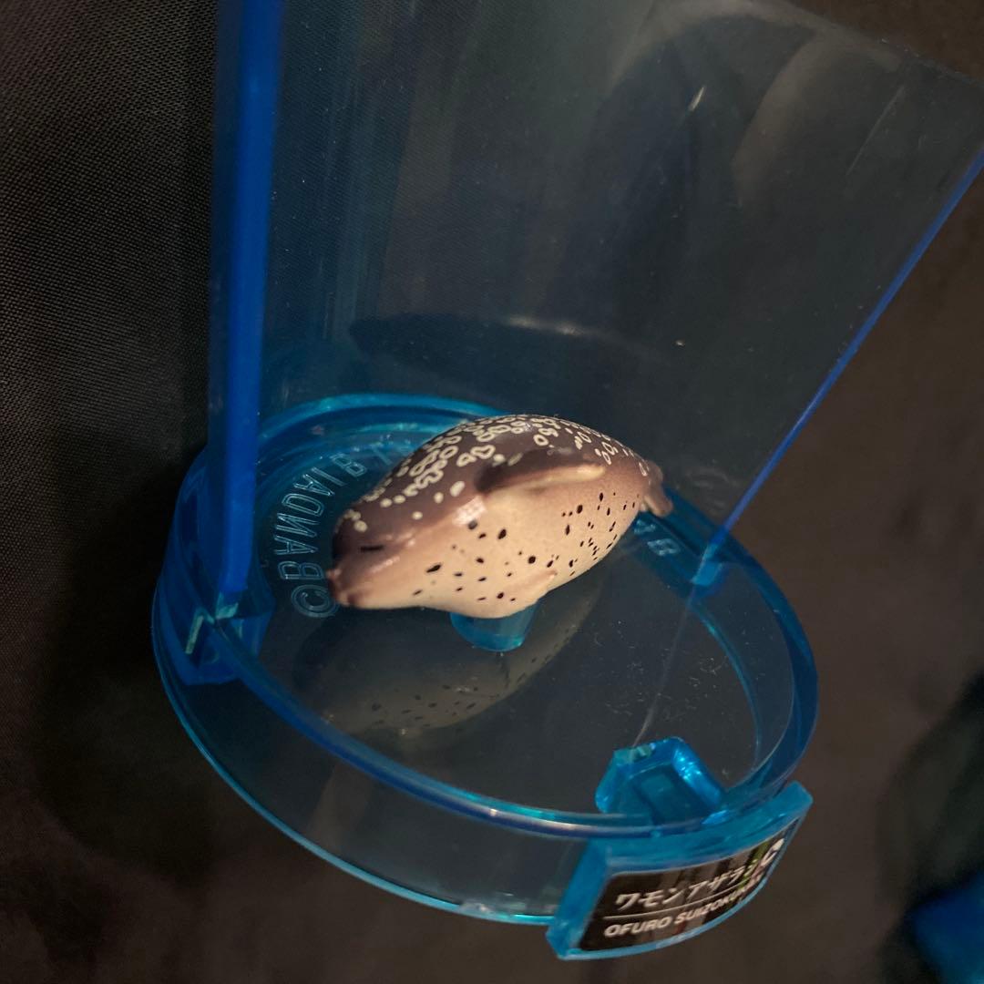 びっくらたまご おふろ水族館 フィギュア まとめ売り — image 4
