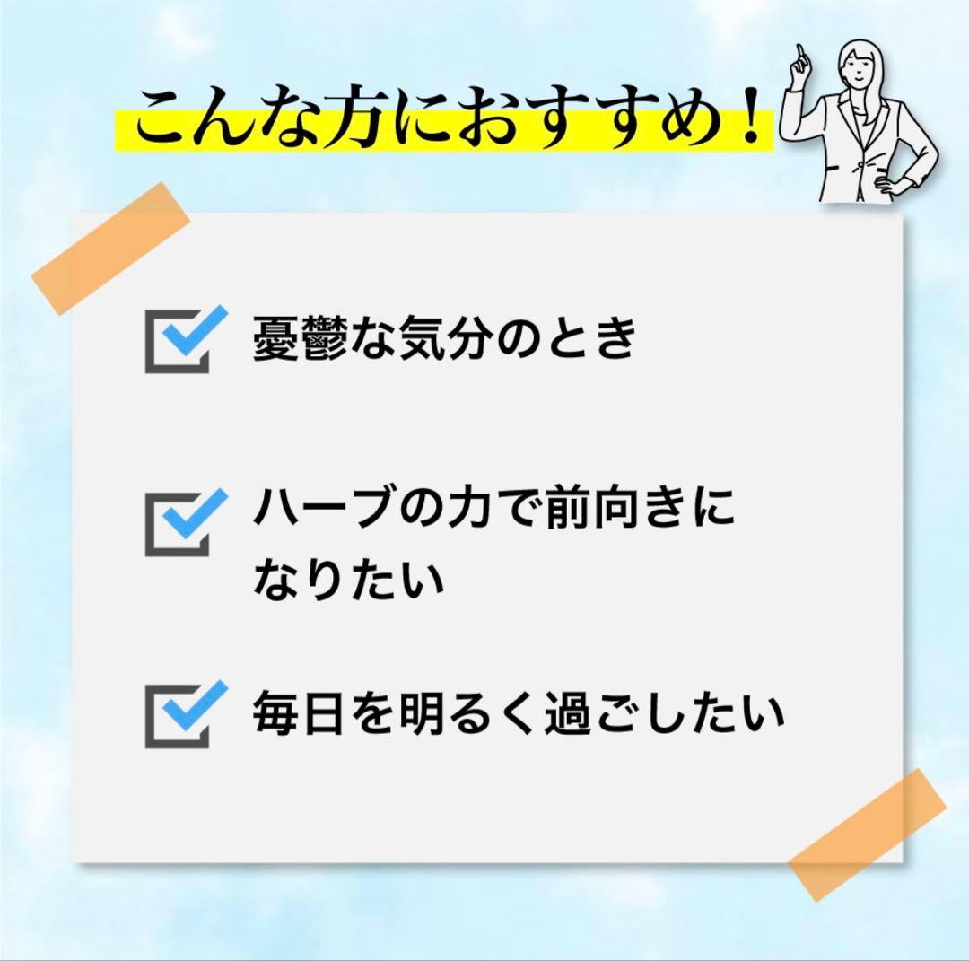 DHC セントジョーンズワート サプリメント 20日分 — image 4