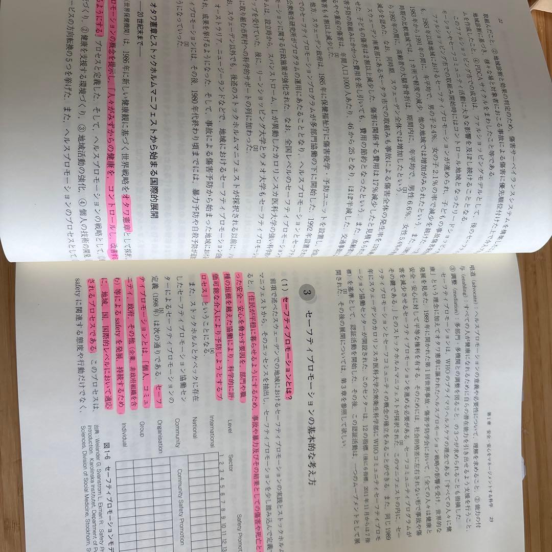 セーフティプロモーション 改訂版 日本セーフティプロモーション学会 — image 4