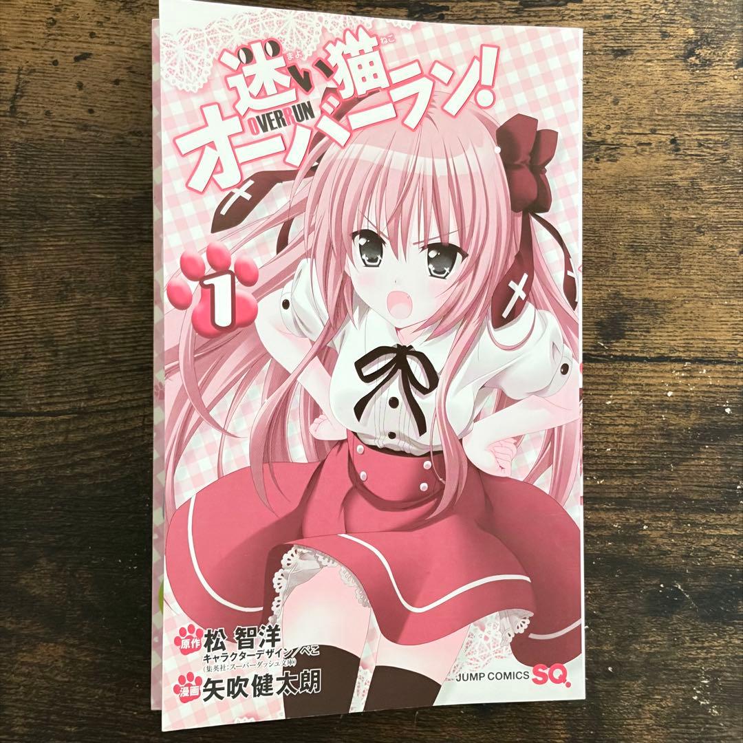 迷い猫オーバーラン1巻　初版美品　矢吹健太朗松智洋シールカラーページ完品ジャンプ — image 5