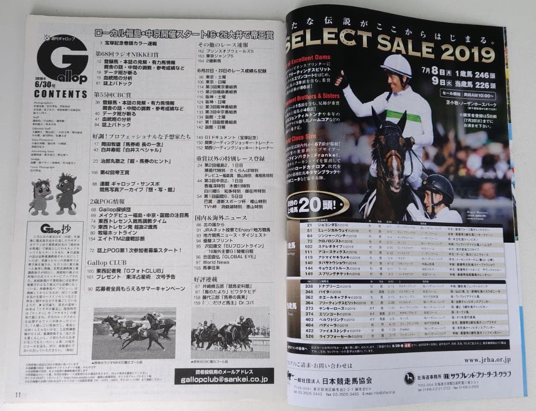 週刊ギャロップ 2019年6月30日号 ラジオNIKKEI賞 CBC賞 — image 3