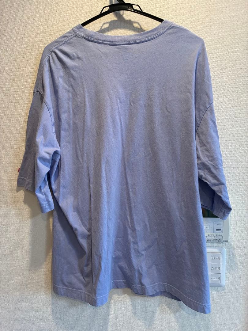 CHUMS Tシャツ ライトブルー Mサイズ — image 2