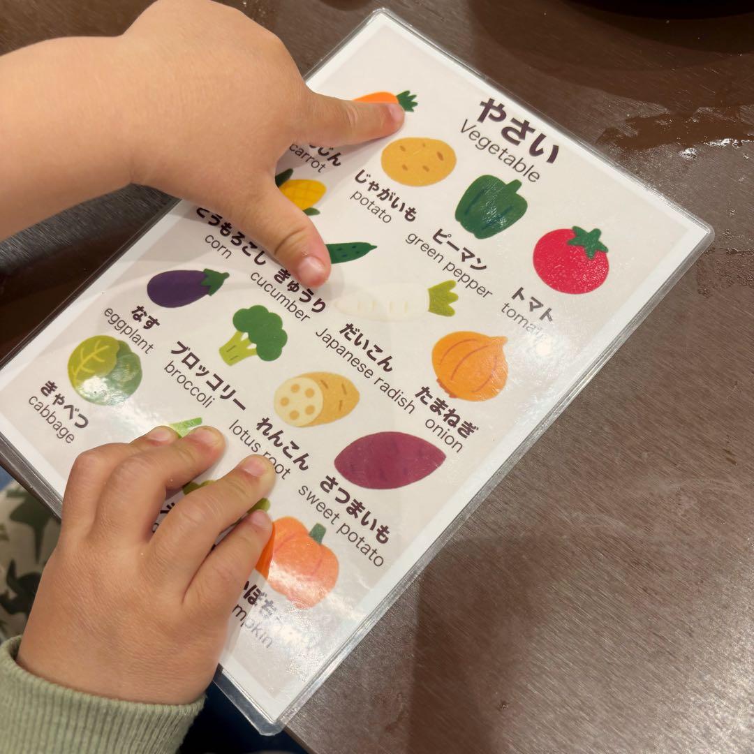 【A4+2L 2枚セット】野菜　おうちで自然に覚える知育ポスター　日本語＋英語 — image 3