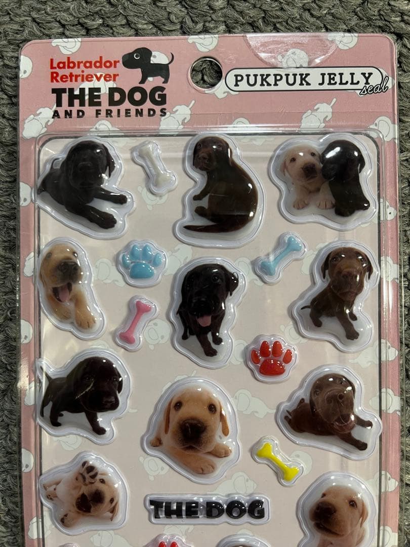 値下げ！6枚セットTHE DOG ゴールデンレトリバー — image 3