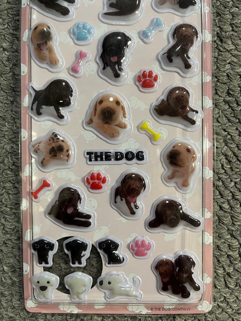値下げ！6枚セットTHE DOG ゴールデンレトリバー — image 4