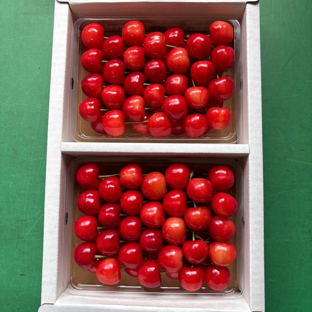 【2L,3L】ギフト用紅秀峰700g — image 2