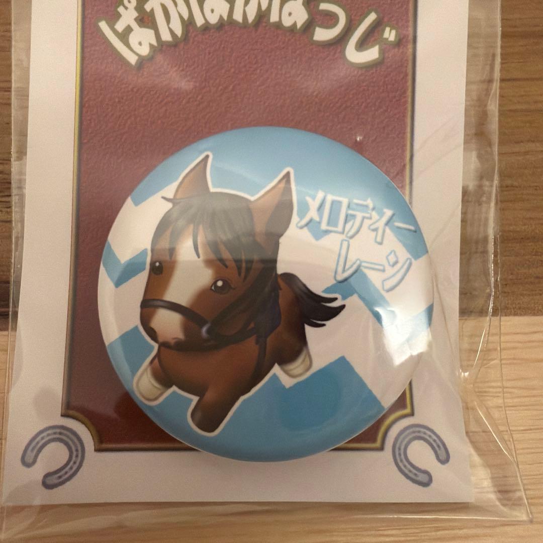 レア　メロディーレーン　ぱかぱかばっじ　競馬 — image 2