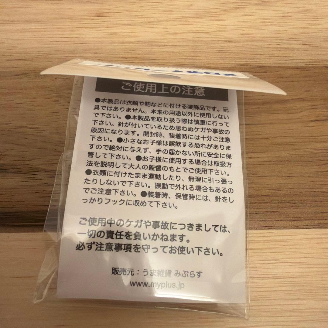 レア　メロディーレーン　ぱかぱかばっじ　競馬 — image 3